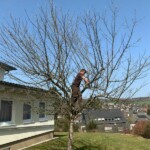 Gebhardt&Nöll Gbr