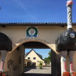 |hardcopy|2023/08/06 13:08:24
Matthias
KALKE